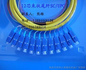 連接數(shù)字世界的橋梁 束狀尾纖、光纖跳線與皮線光纜